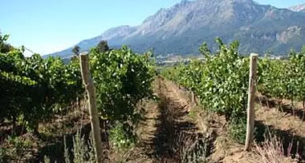 patagonian-wines-1