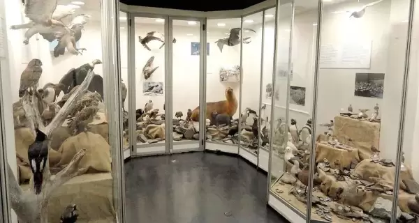 Fachada del Museo del Fin del Mundo en Ushuaia, resguardando la historia fueguina
