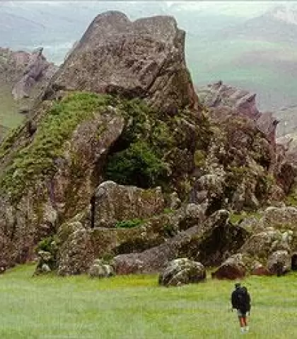 Cardones milenarios a lo largo de la Recta del Tin Tin, uno de los paisajes m�s impactantes del Parque Nacional Los Cardones.