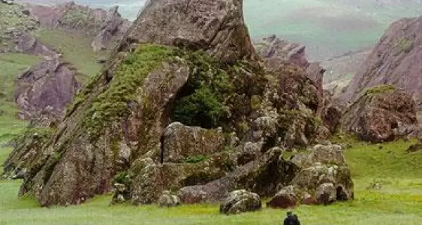 Cardones milenarios a lo largo de la Recta del Tin Tin, uno de los paisajes m�s impactantes del Parque Nacional Los Cardones.