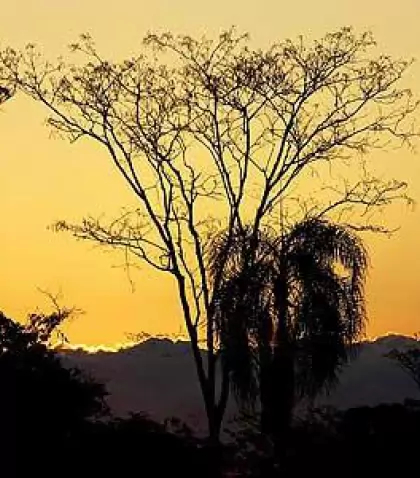 Formaciones rocosas del Parque Provincial Ischigualasto, uno de los paisajes m�s impactantes de San Juan.