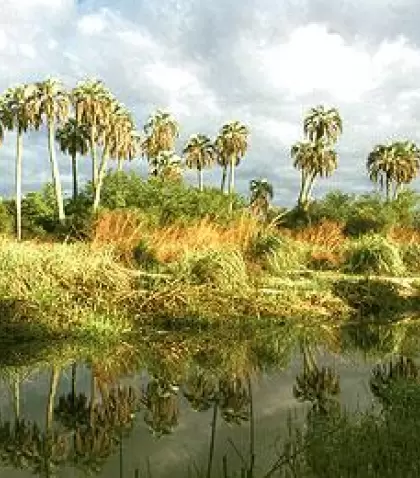 parque-nacional-el-palmar-1