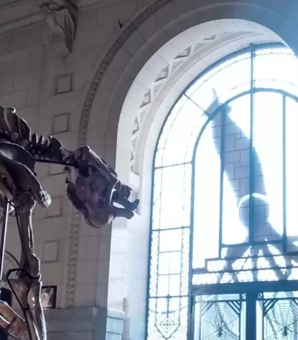 Interior del Museo Paleontol�gico Egidio Feruglio, con imponentes esqueletos de dinosaurios.