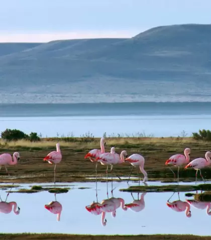 rio-gallegos-1