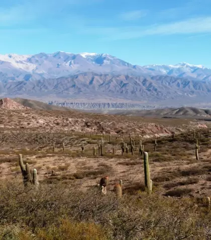 Los_Cardones_con_el_nevado_de_Cachi.-scaled