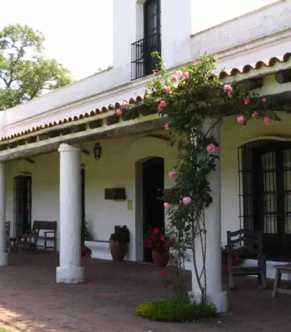 El-Museo-e1653784025646