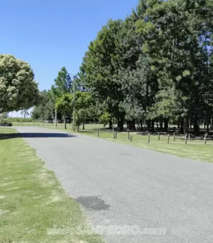 paseopublico39