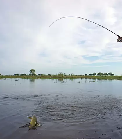 pesca
