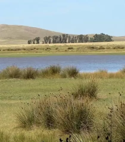 vista-laguna-las-encadenadas-e1656938577291