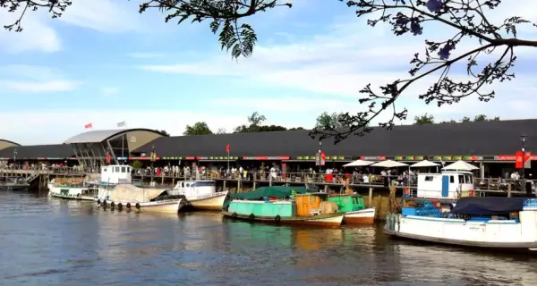 Barcos y embarcaciones en la Estaci�n Fluvial de Tigre con vegetaci�n isle�a de fondo.