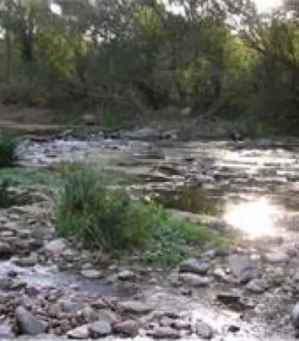 recreos-1