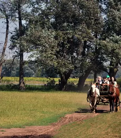 Carruaje antiguo recorriendo las calles de Capilla del Se�or, una experiencia que revive el esp�ritu de la Buenos Aires colonial.
