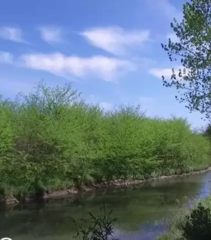 El Arroyo de la Cruz bordea el casco hist�rico de Capilla del Se�or y regala uno de los paseos naturales m�s pintorescos del pueblo.