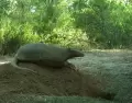 parque-nacional-e1661041772448
