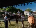 turismo-rural