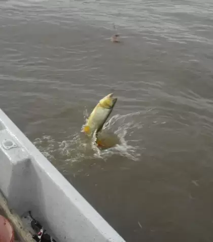 pesca-san-miguel-monte