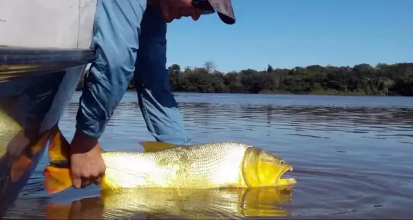 La pesca deportiva en Santiago del Estero combina naturaleza, calma y adrenalina en r�os y embalses �nicos.