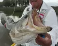 pesca-deportiva-en-monte
