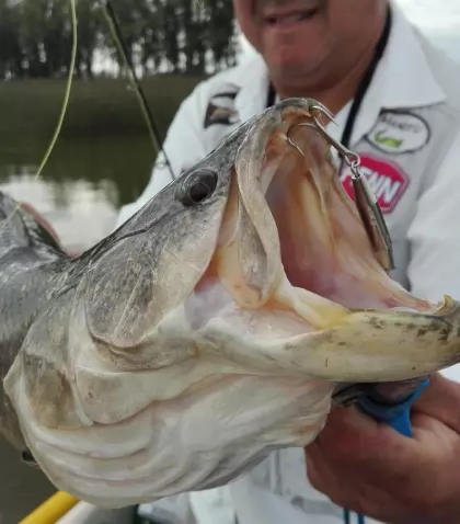 pesca-deportiva-en-monte