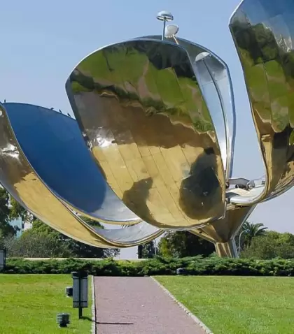 floralis-generica-1