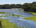 Reserva Ecol�gica Costanera Sur, un oasis natural en plena Buenos Aires.