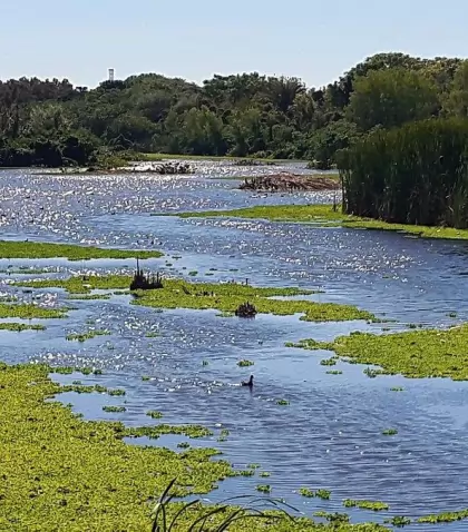 reserva-ecologica