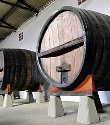 mini-wine-tour-1