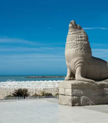 Lobo de mar, mar del plata, buenos aires province, argentina