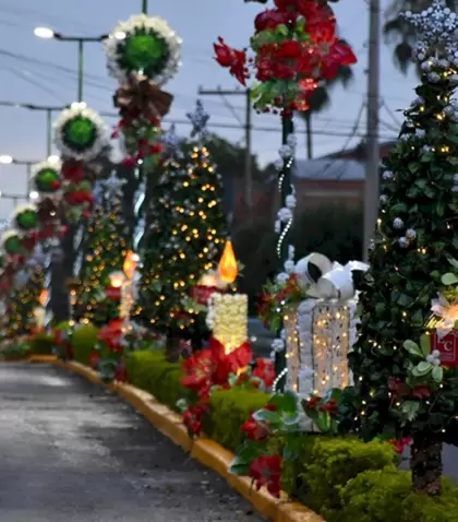 Existen distintos destinos para pasar Navidad en Argentina que te pueden deslumbrar.