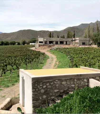Vi�edos y bodega Puna en Cachi, un referente de los vinos de altura.