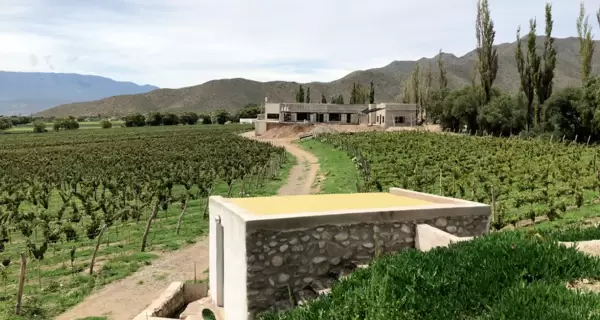 Vi�edos y bodega Puna en Cachi, un referente de los vinos de altura.