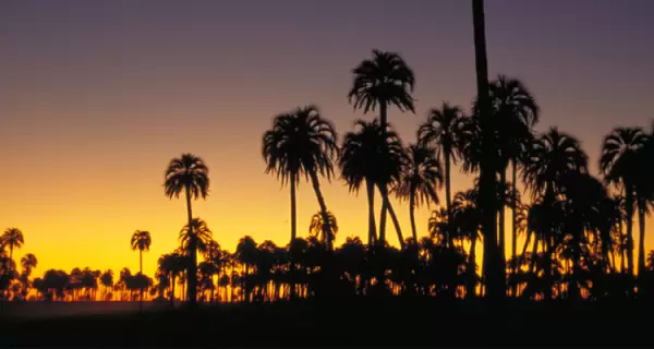 El Palmar de Entre Rios