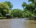 El Delta de Tigre en Verano ofrece paisajes de ensue�o y planes divertid�simos para refrescarse del calorcito.