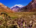 Mendoza: Monta�as, vinos y relax