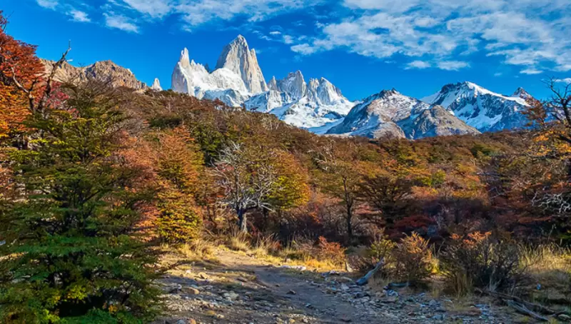 �ltimo kil�metro del Sendero Laguna Capri, en El Chalt�n.