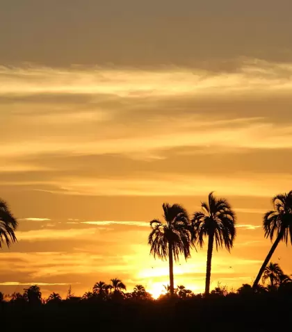 Parque Nacional El Palmar, una de las joyas naturales de Entre R�os.