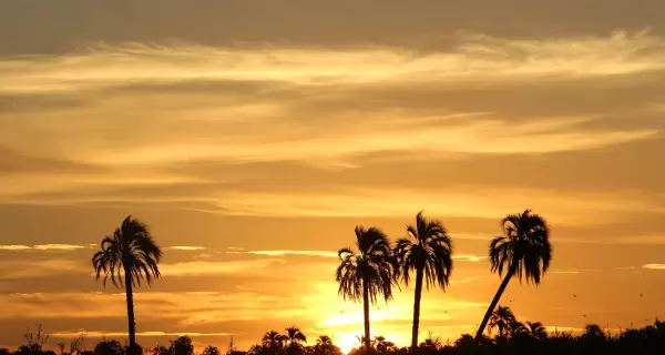 Parque Nacional El Palmar, una de las joyas naturales de Entre R�os.
