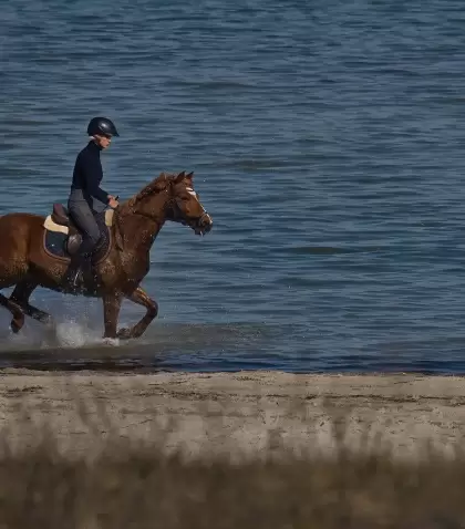 Cabalgata por la playa de Pinamar, una propuesta diferente para disfrutar del mar y el bosque a caballo.