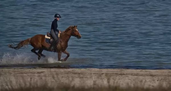 Cabalgata por la playa de Pinamar, una propuesta diferente para disfrutar del mar y el bosque a caballo.