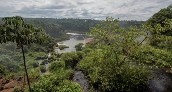Parque Nacional Iguaz�, hogar de las imponentes Cataratas y uno de los ecosistemas m�s biodiversos de Am�rica del Sur.