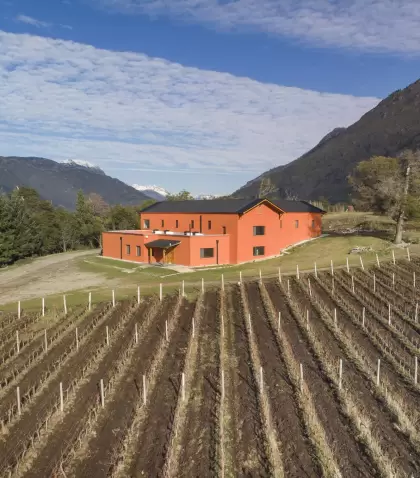 Patagonian Wines ofrece dos experiencias en la Patagonia: una vinoteca urbana en El Bols�n y una bodega con vi�edos en El Hoyo, ideales para descubrir