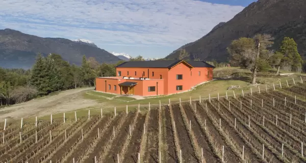 Patagonian Wines ofrece dos experiencias en la Patagonia: una vinoteca urbana en El Bols�n y una bodega con vi�edos en El Hoyo, ideales para descubrir