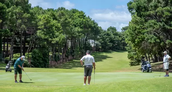 Campos de golf entre bosques y m�danos en Pinamar, ideales para jugar todo el a�o.