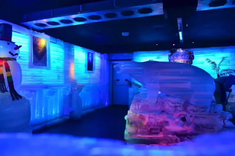 Ice Bar Iguazú, una experiencia congelada en el corazón de la selva misionera.