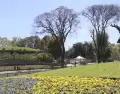 Parque Centenario