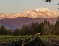 Mendoza, la provincia del vino