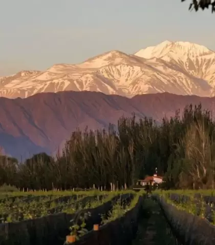 Mendoza, la provincia del vino