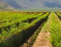 Provincia de La Rioja