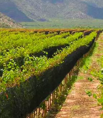 Provincia de La Rioja