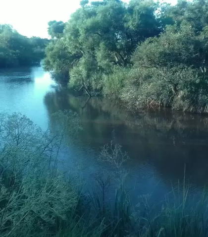 Arroyo "El Pescado" - Berisso
